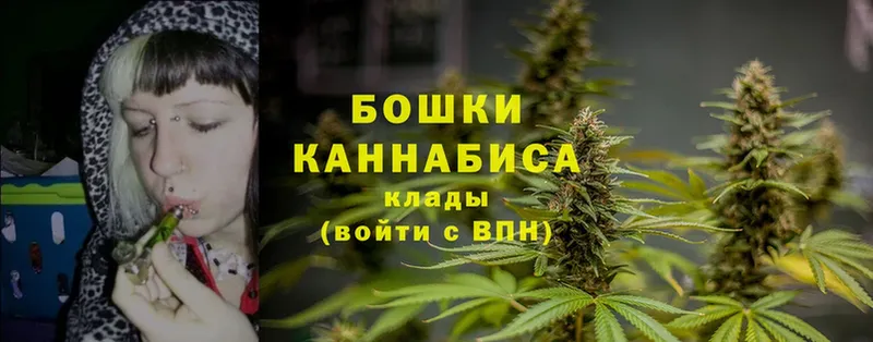 Бошки Шишки THC 21%  Кировск 